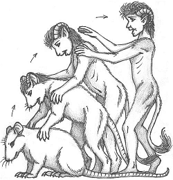 rat-and-people