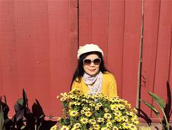 minh-thuy-thanh-noi
