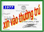 vandong-daovan-01192022