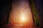 dream